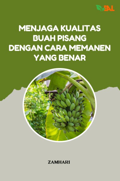 Menjaga Kualitas Buah Pisang dengan Cara Memanen yang Benar